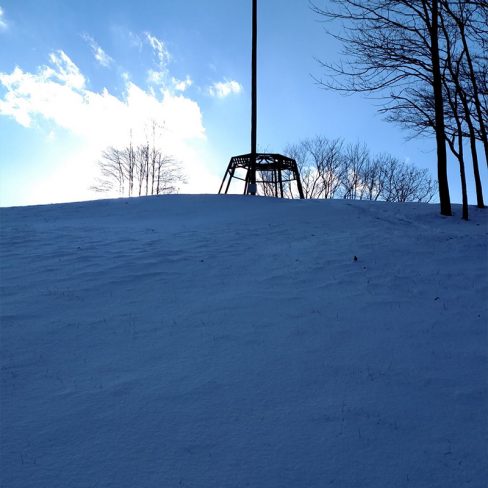 Wilds Pole